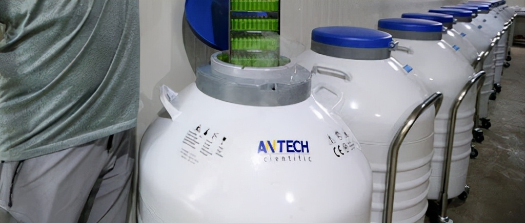 零下196度液氮能把人冻住吗,零下190度的液氮对人有没有伤害