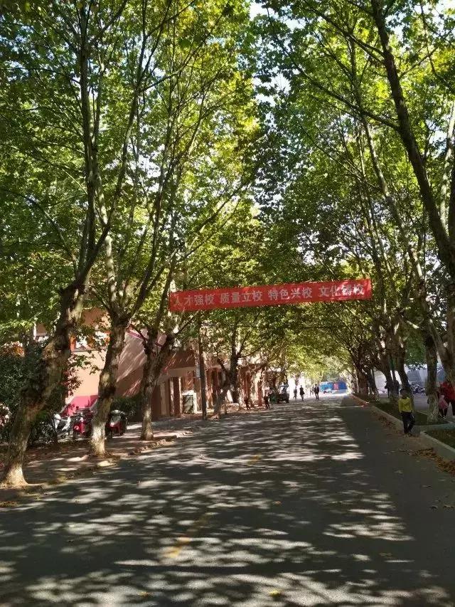 井冈山大学在井冈山上吗？19级萌新请听清——吉安火车站下车