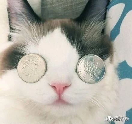 古代人近视如果没有眼镜怎么办,古代人近视时是怎样的