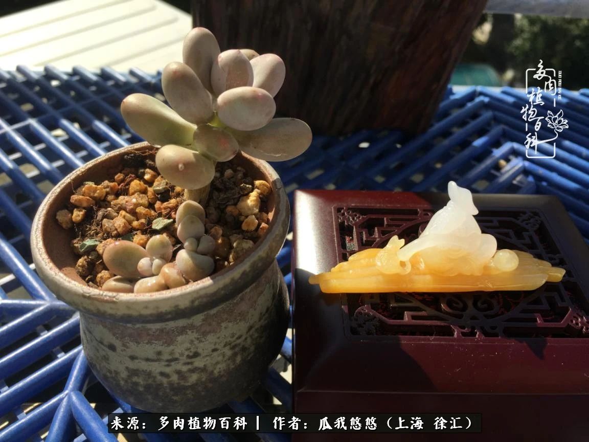 享受岁月,享受岁月静好歌曲原唱