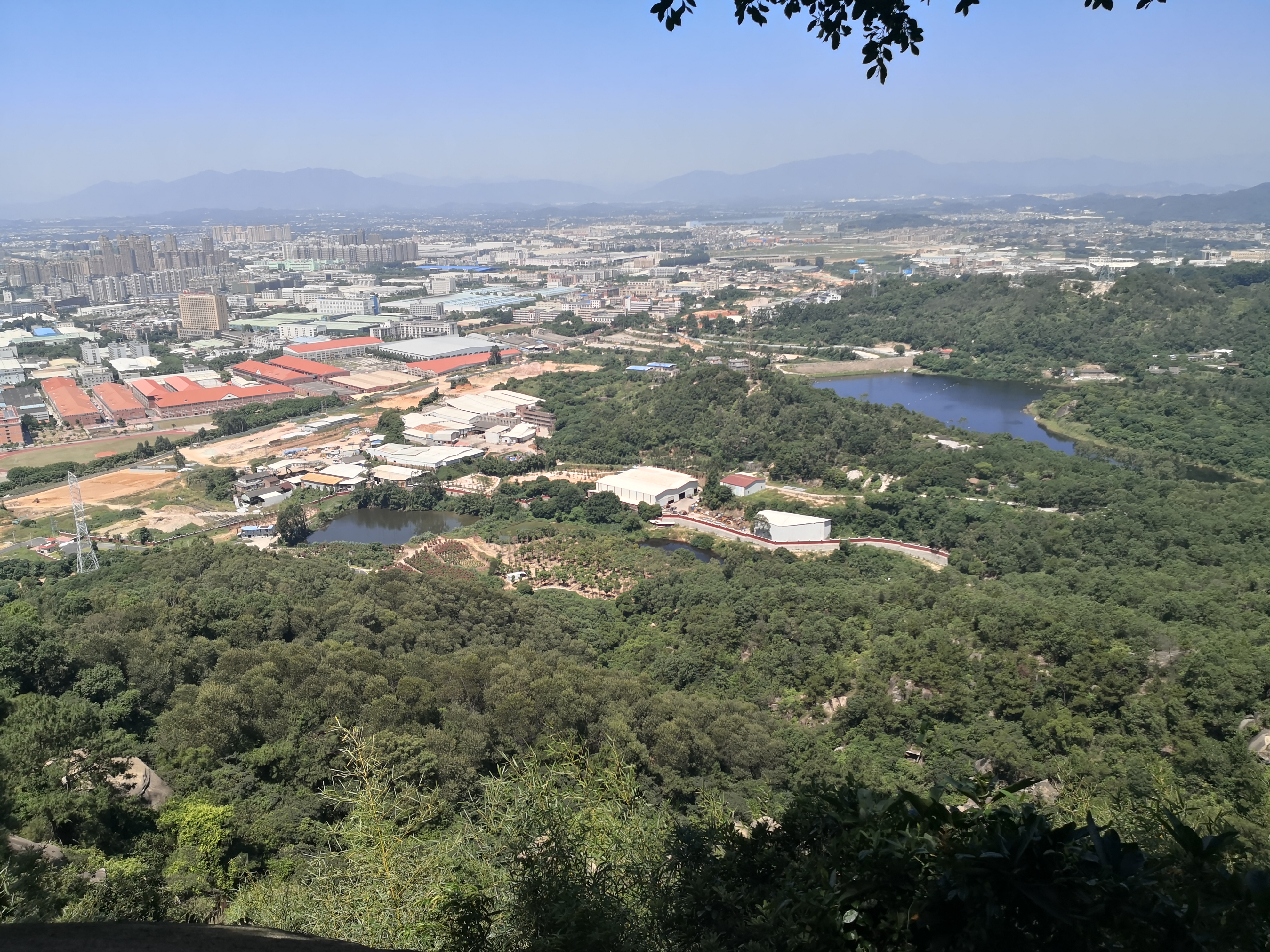 云洞岩鹤鸣楼,云洞岩鹤室介绍