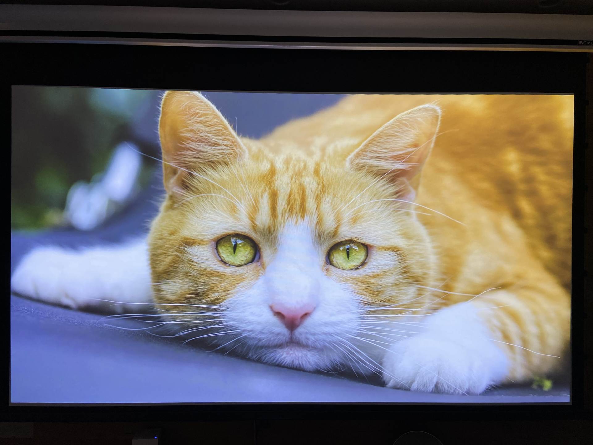 在家体验电影院,私人影院看电影体验