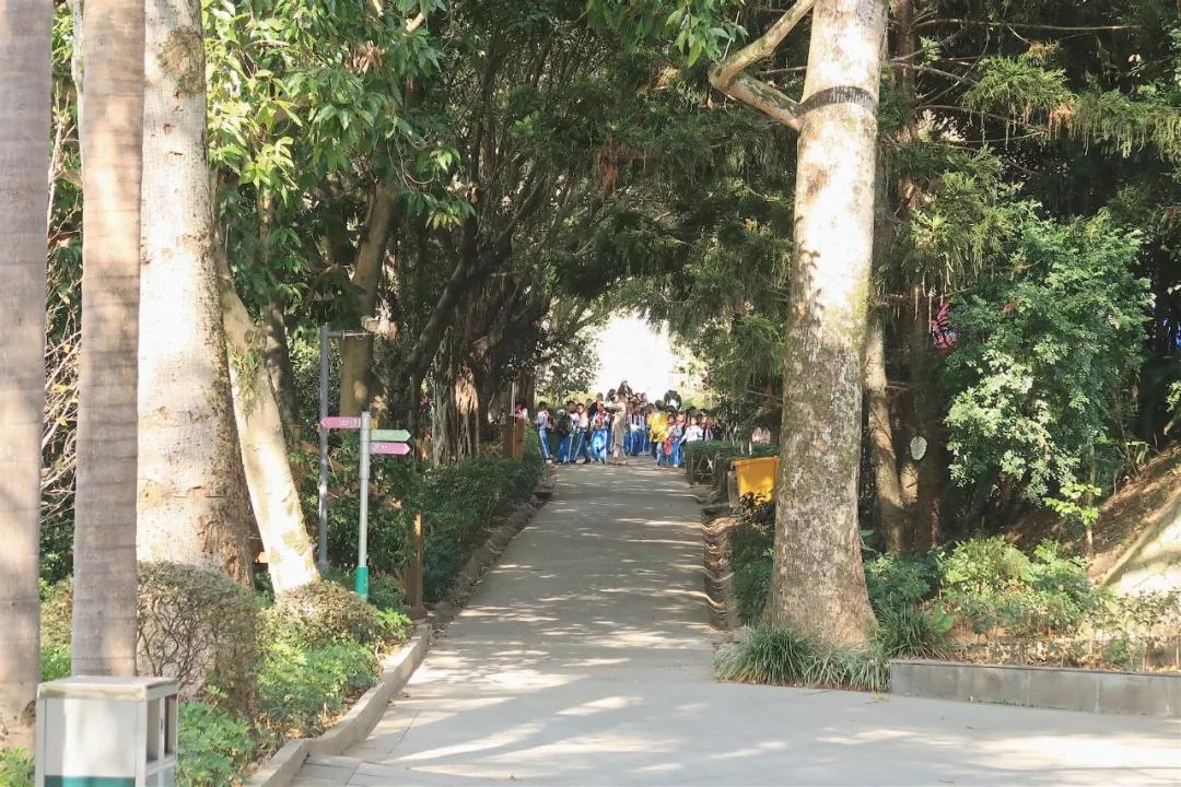 在动物园散步才是正经事|暴走福州