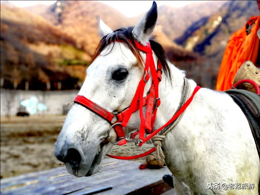 宝鸡九龙山温泉的汗蒸馆,西北最大温泉