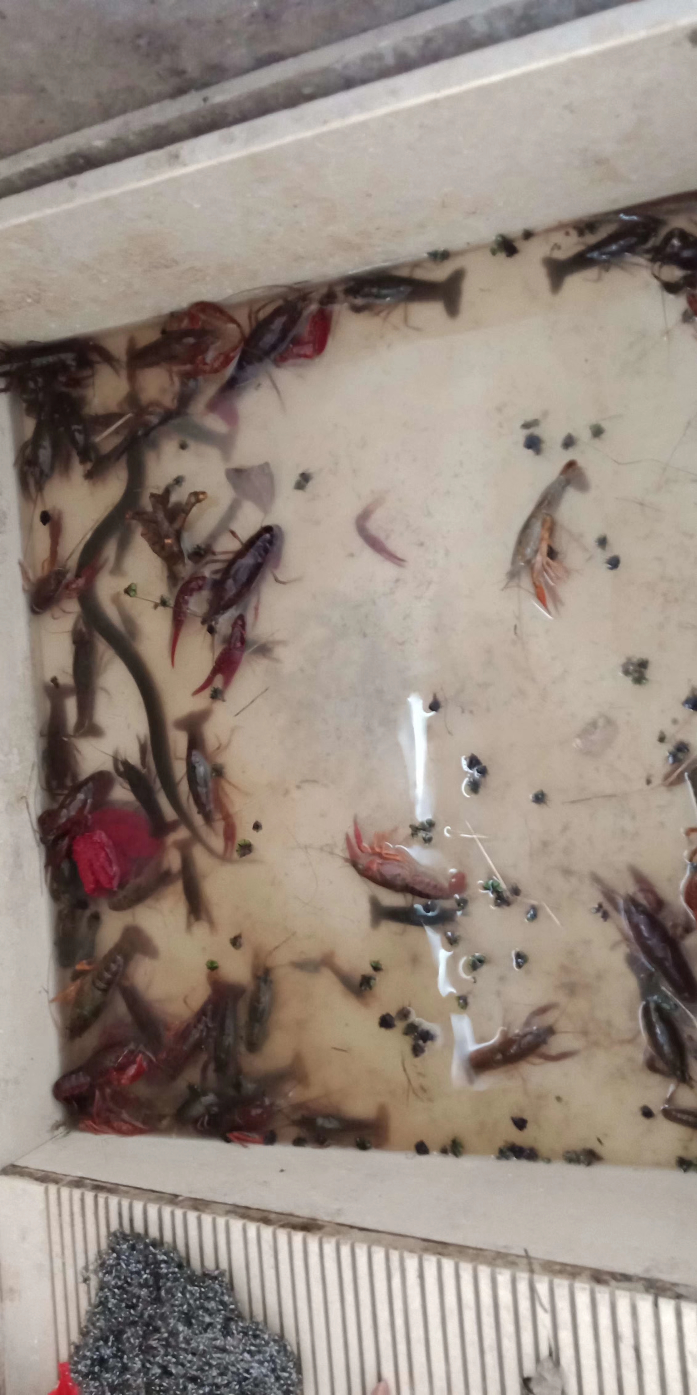 北漂回老家看父母的真实感受,北漂回家感慨