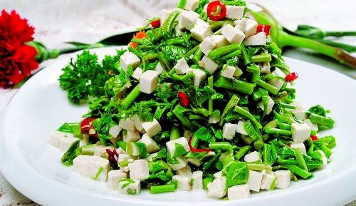 香椿大棚种植技术果树品种,大棚香椿高产栽培技术