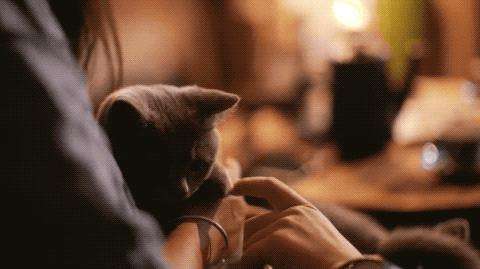 她40岁之前忙成狗，40岁之后在上海买房隐居