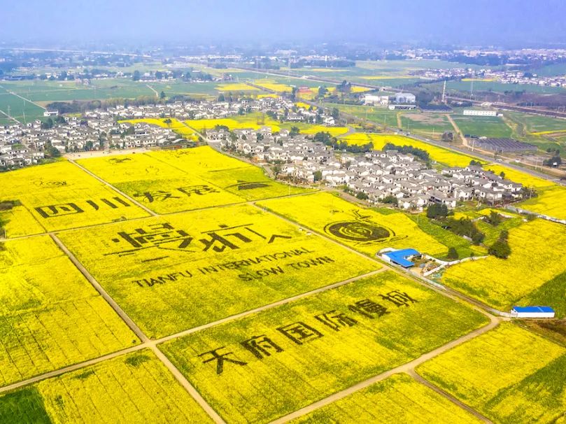 成都哪里的绿道最好,成都绿道最好的地方