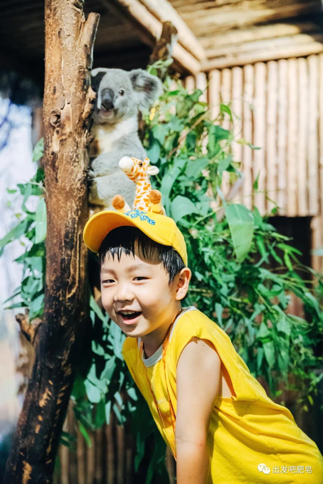 长隆飞鸟乐园长隆熊猫酒店怎么选,周一长隆野生动物园游玩攻略