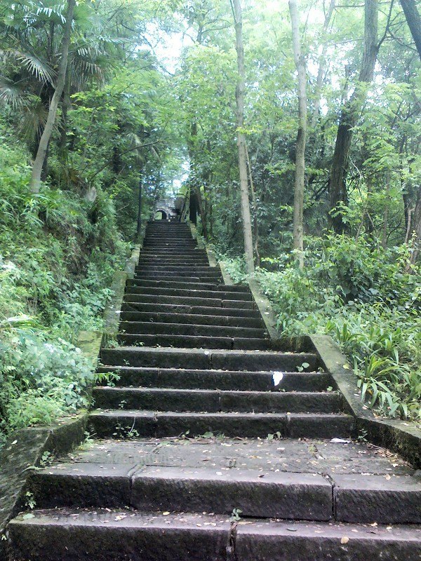 鹧鸪天三岭山,鹧鸪天天宁寺