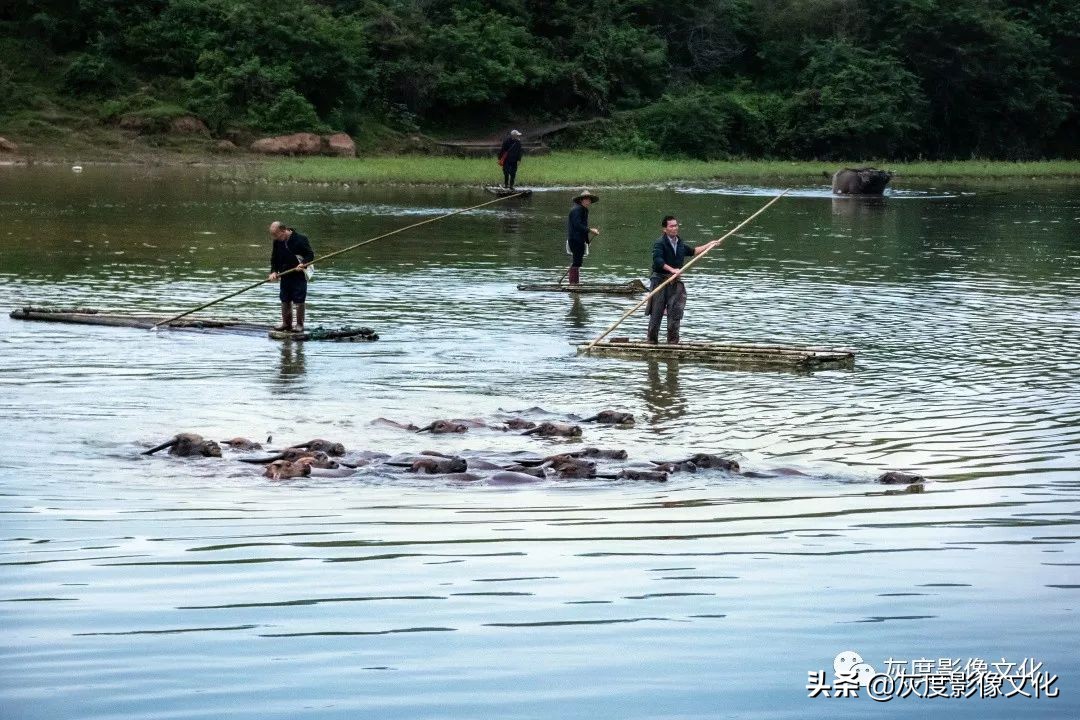 摄影人与自然和谐共生,摄影人像一生有爱
