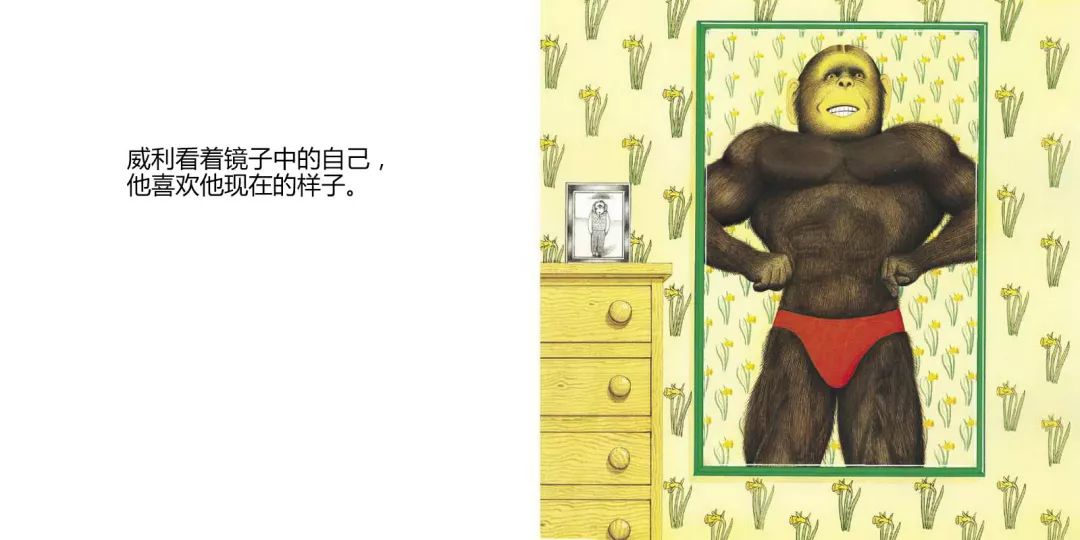 胆小鬼威利绘本阅读思维导图,胆小鬼威利故事绘本视频