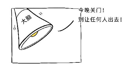 延伸护理服务与疾病知识科普(二)肛门的由来未完后面持续更新