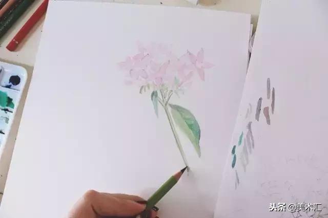 画一幅关于花的简单又好看的画,画一朵花怎么画好看