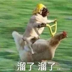 “2019年，我朋友圈的代购都疯了哈哈哈哈哈哈哈”