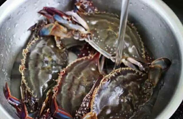 螃蟹怎样蒸才不会断腿,螃蟹的正确蒸煮方法螃蟹能放多久