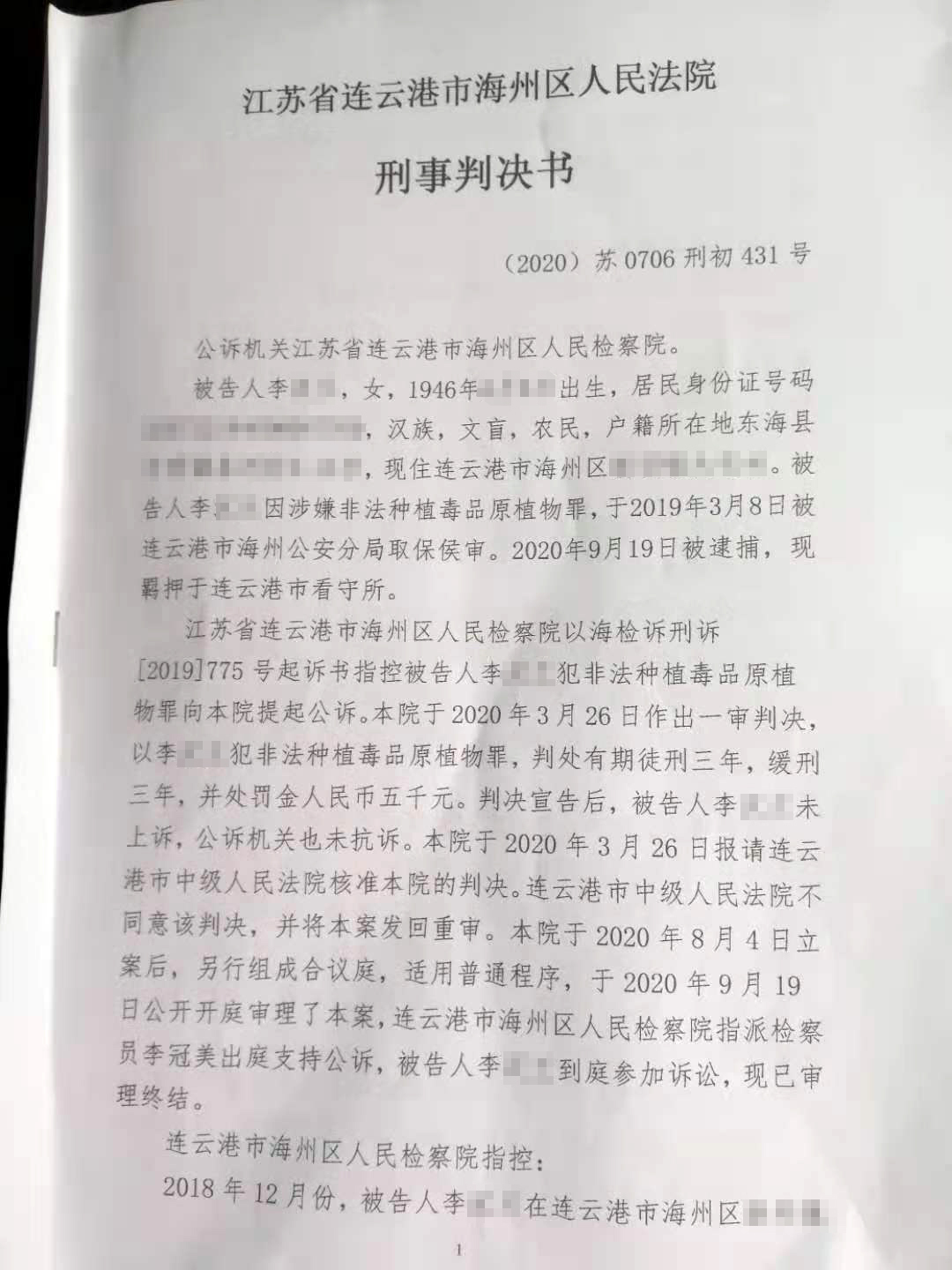 江苏7旬老人种下4千余棵*粟罂**被判5年，家属质疑量刑过重：同类案件当事人种万余棵判刑3年缓刑3年