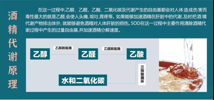 茅台醇新品发布品鉴,茅台酒厂展销