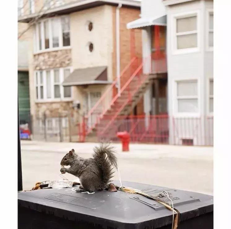 TinyTRIPS｜过期游记六：大哥谭-Chicago芝加哥