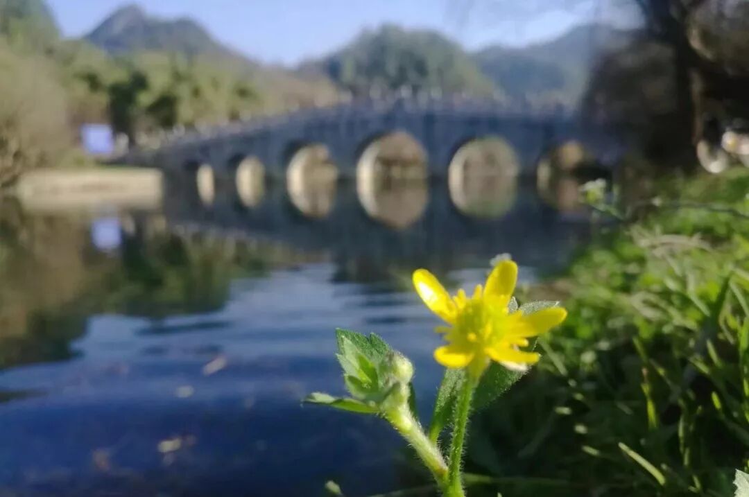 赋词千行,把酒千觥,烟墨流年聊寄仄平中丨薰衣2019诗词集