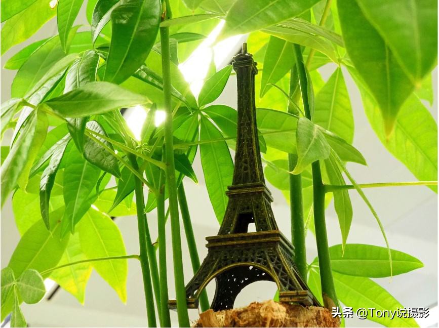 摄影技巧大光圈,摄影技巧虚化叠加