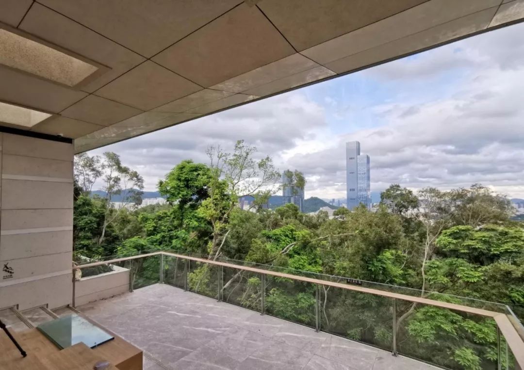 深圳，一个连拉屎都要发朋友圈的城市