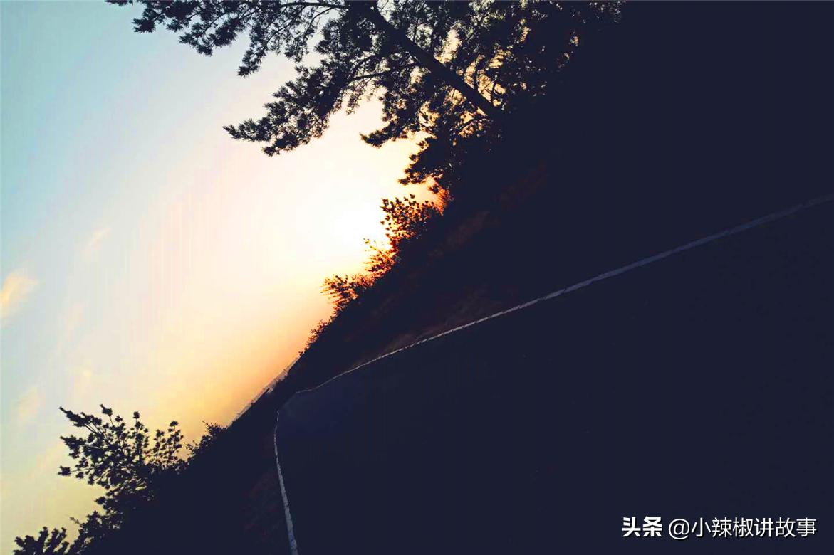 鏈辫开鍜岃但鏈殑鏁呬簨,璧湰鏈辫开