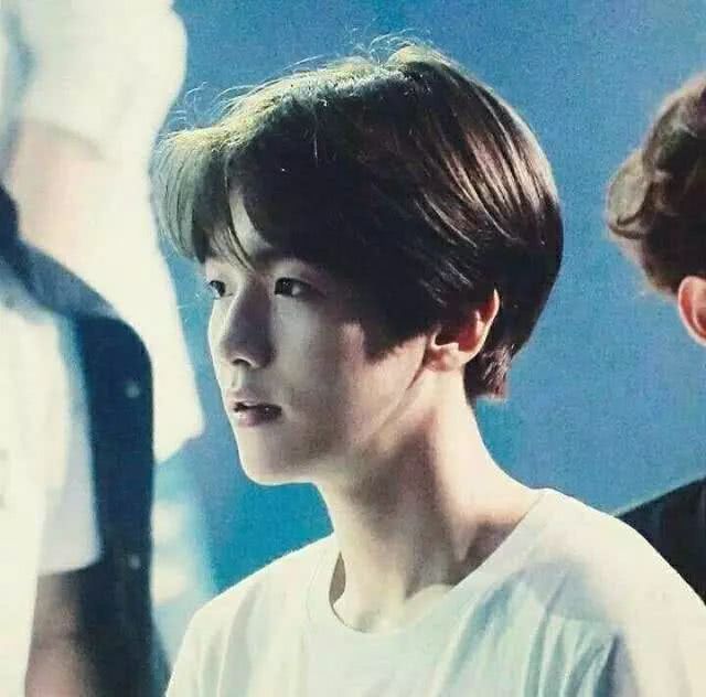 边伯贤做梦素材之你是个黏人精,exo盘点边伯贤这些年的神仙舞台