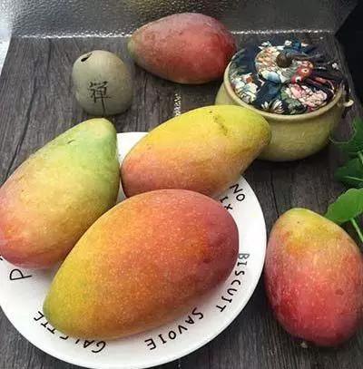 新鲜水果有哪几种储存保鲜方法,水果怎么保鲜常见水果的保鲜法