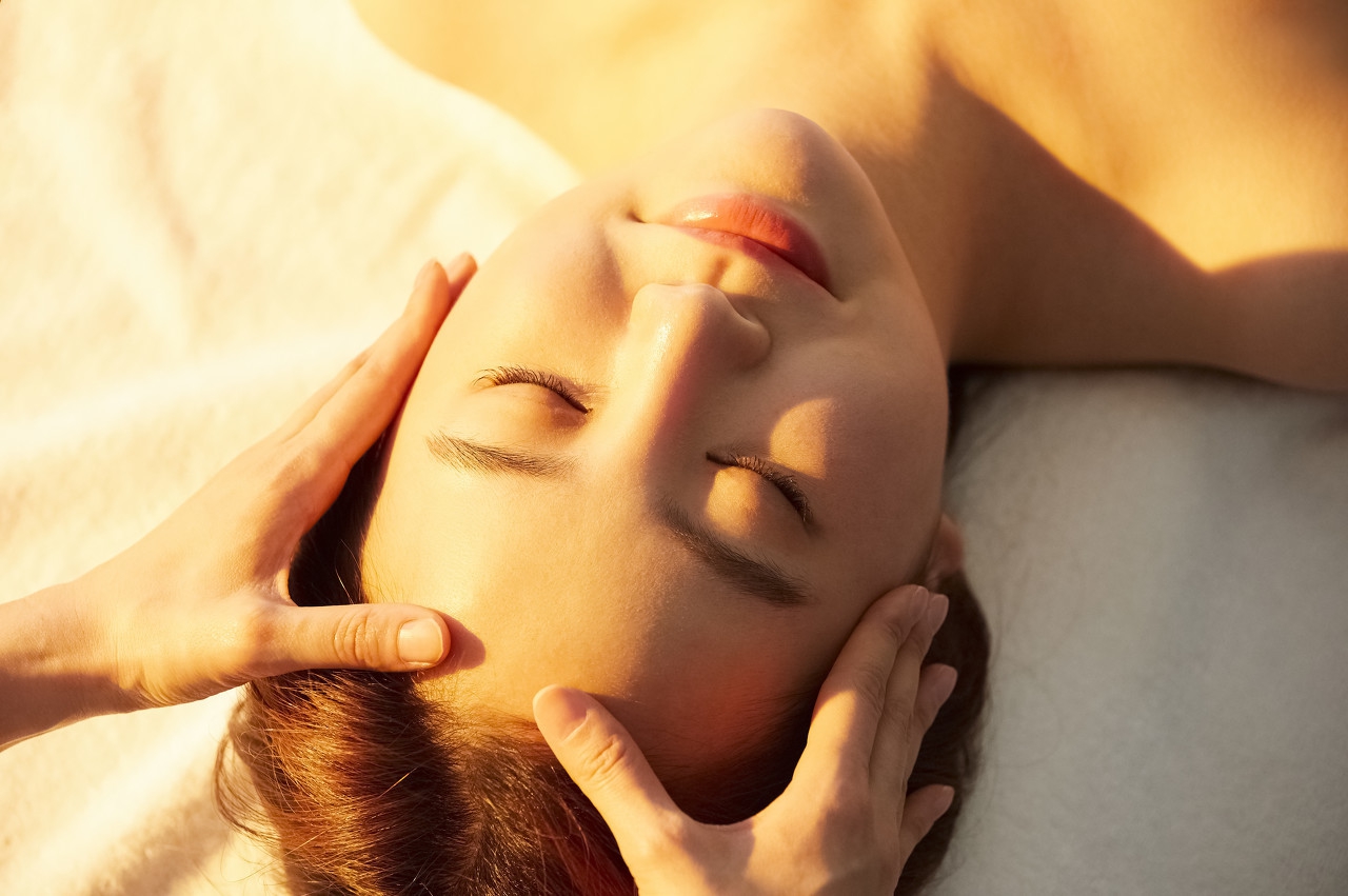 合格的宠物b级美容师的要求,美容学徒如何成为一个合格美容师