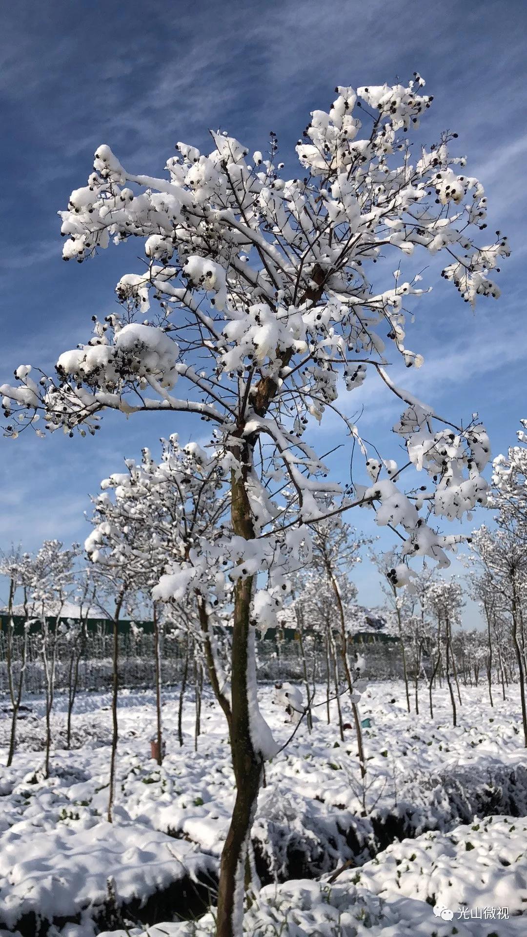 替你“打卡”！疫情中的光山雪景