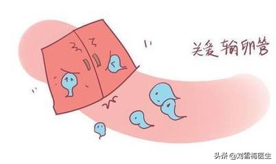 怎么知道自己输卵管是否通畅,如何知道输卵管是否通畅