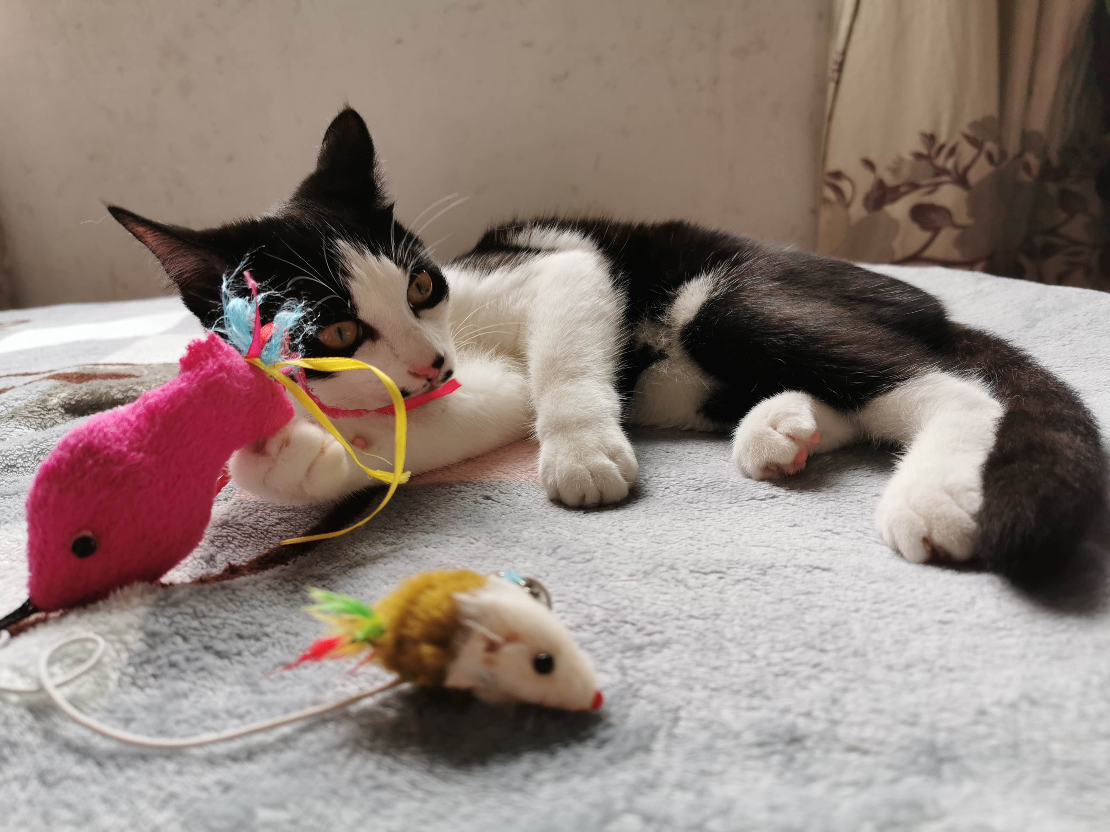 下雨天了我好想你歌词,下雨天了怎么办我好想你原版