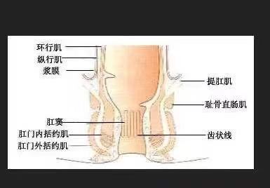 肛裂混合痔手术后又肛裂,肛裂为什么要手术