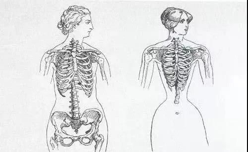 束腰：笼罩欧洲女性几百年的阴云，在中国通过微商还了魂