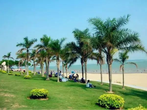 黄金海岸沙雕海洋乐园梦幻水世界,美爆了2019首届奇幻星空海洋馆