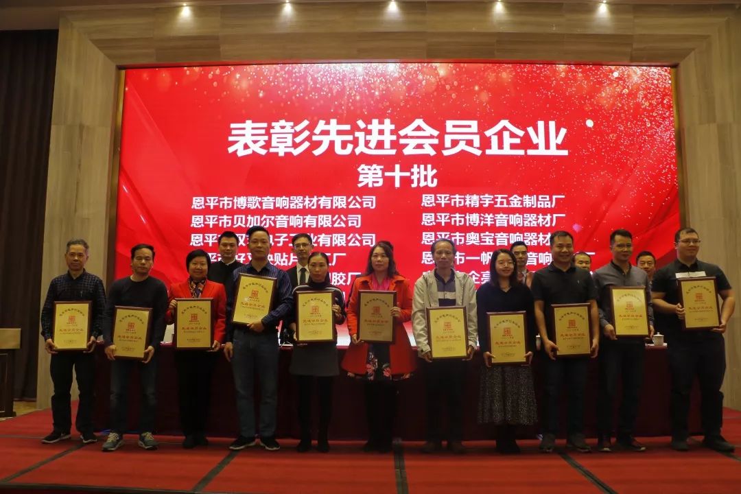 恩平电声行业协会成员,恩平协会