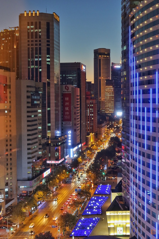 不能飞去巴黎伦敦,不如到大连喂鸽子,赏海景吃海鲜