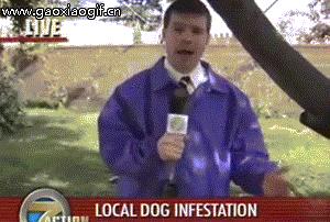 媳妇说丢就丢,媳妇说丢了怎么回