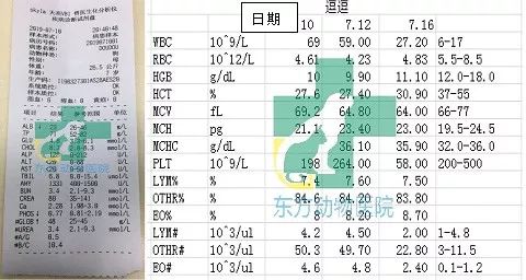楂樼骇鍔ㄧ墿鍖荤敓,椤剁骇鍔ㄧ墿鍖荤敓