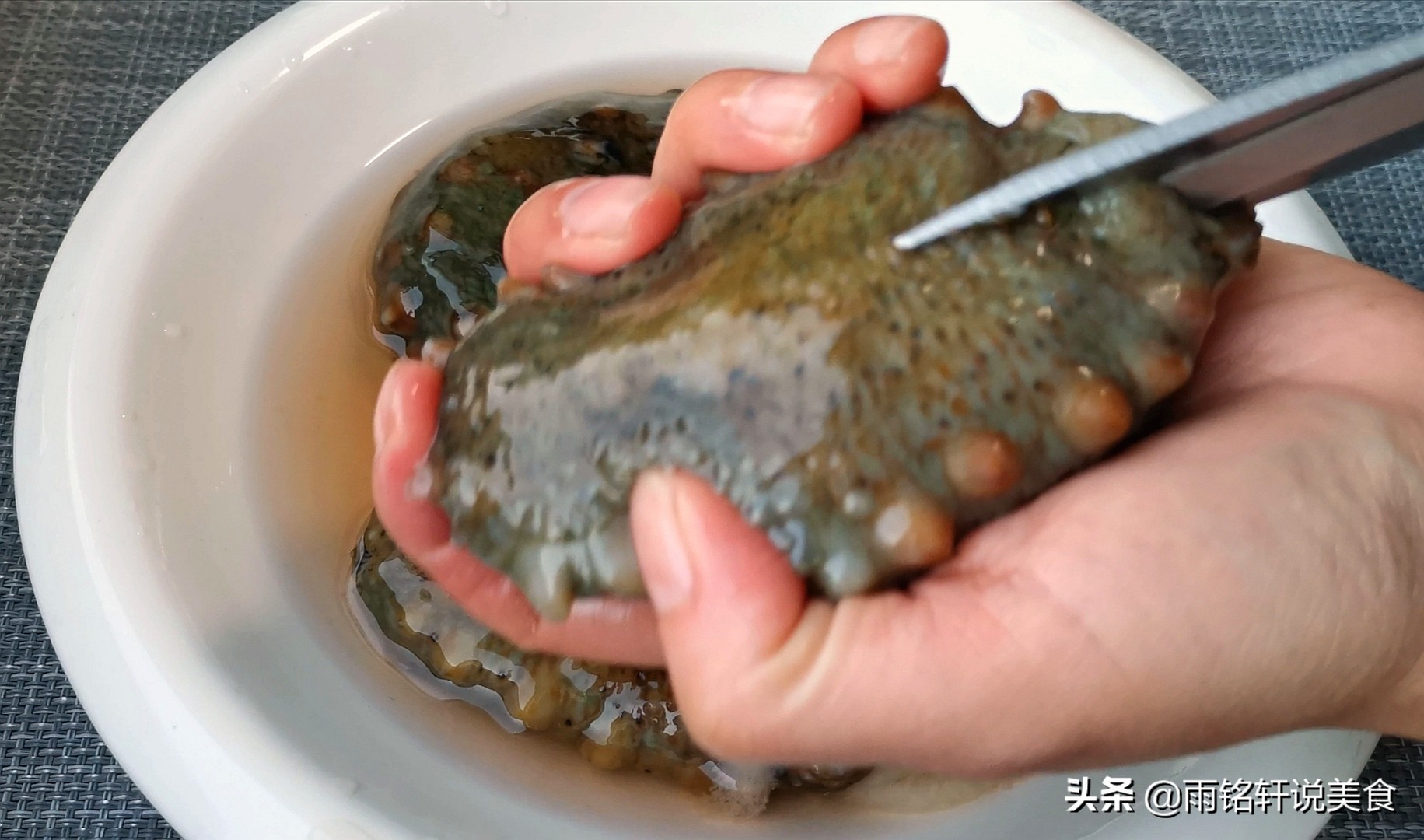 海参怎么做才有营养好吃,海参怎么做才是最好吃的