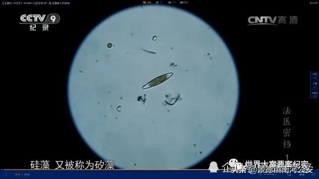 大案纪实法医四人组,大案纪实法网恢恢