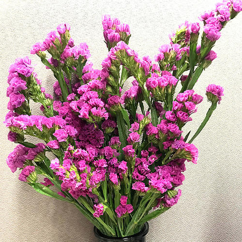 花艺插花常见花名有哪些,鲜花插花的技巧有哪些