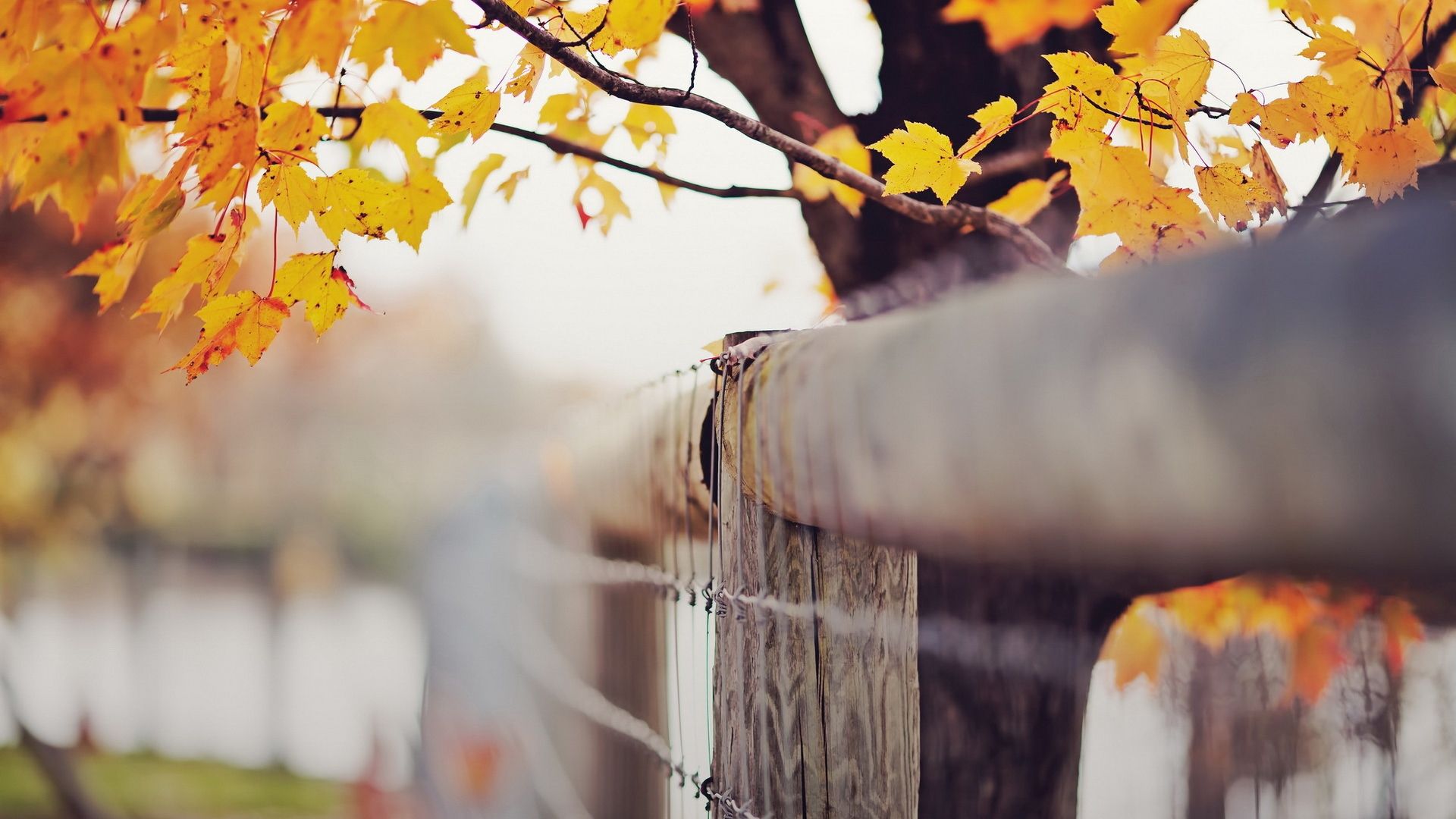 亲历四HOLOSOUND与ATMOS—冬去春归之电影疫情篇