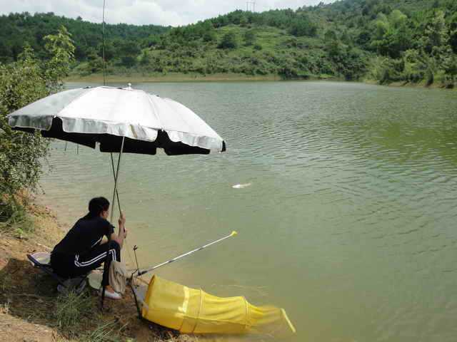 钓鱼的乐趣诗词,钓鱼之乐趣