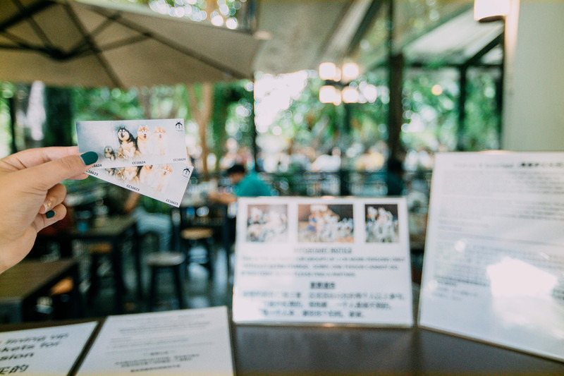 多次曼谷,整理了这份美食攻略,曼谷怎么吃,戳进来