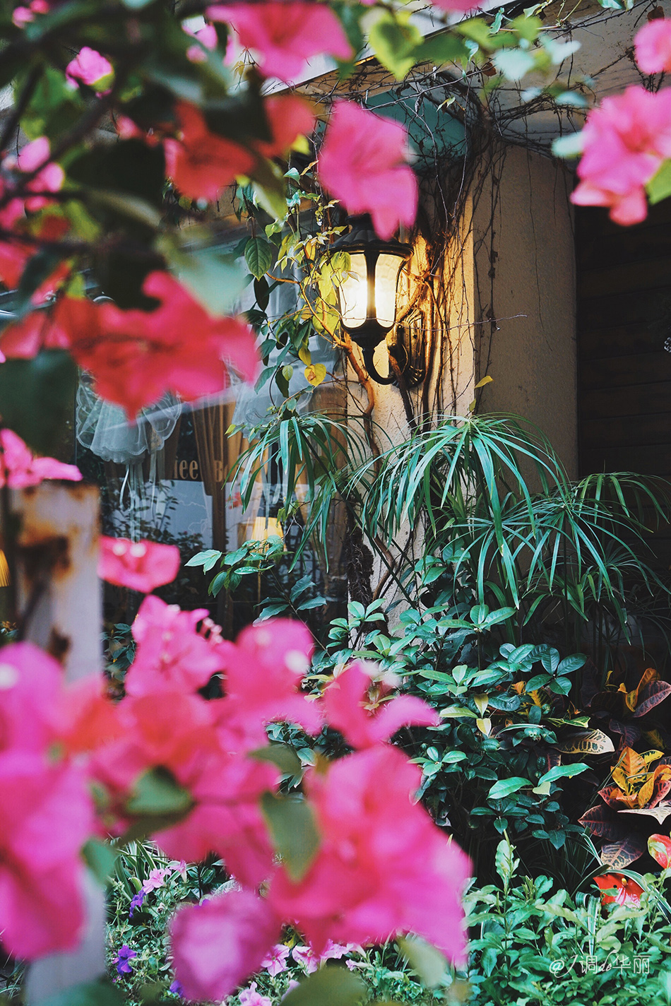 厦门没去过的地方,厦门没去过的景点