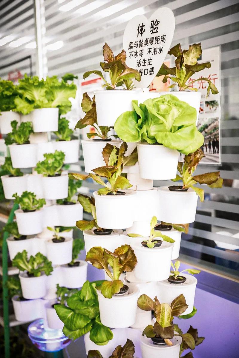 在大山深处幽静绝美的村落,深藏大山中的村落