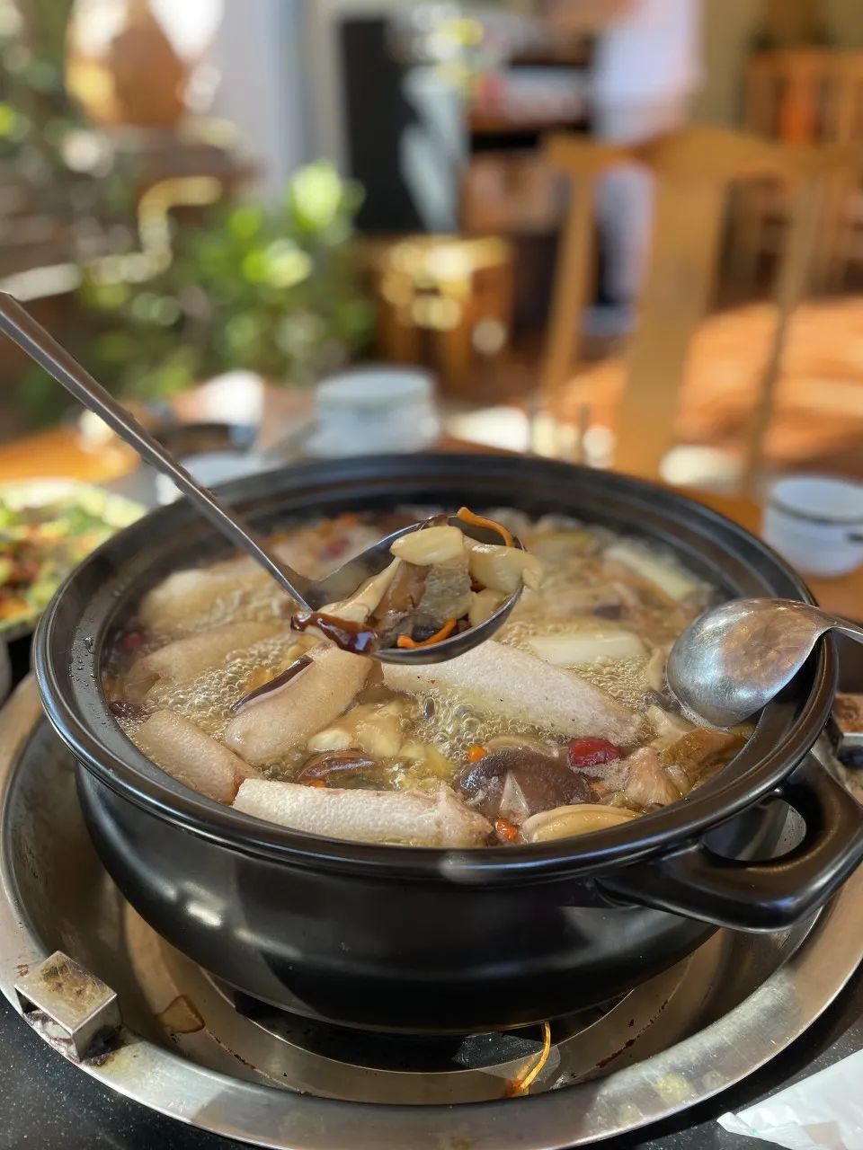 最新十大野生菌,野生菌陆续上市质优价稳