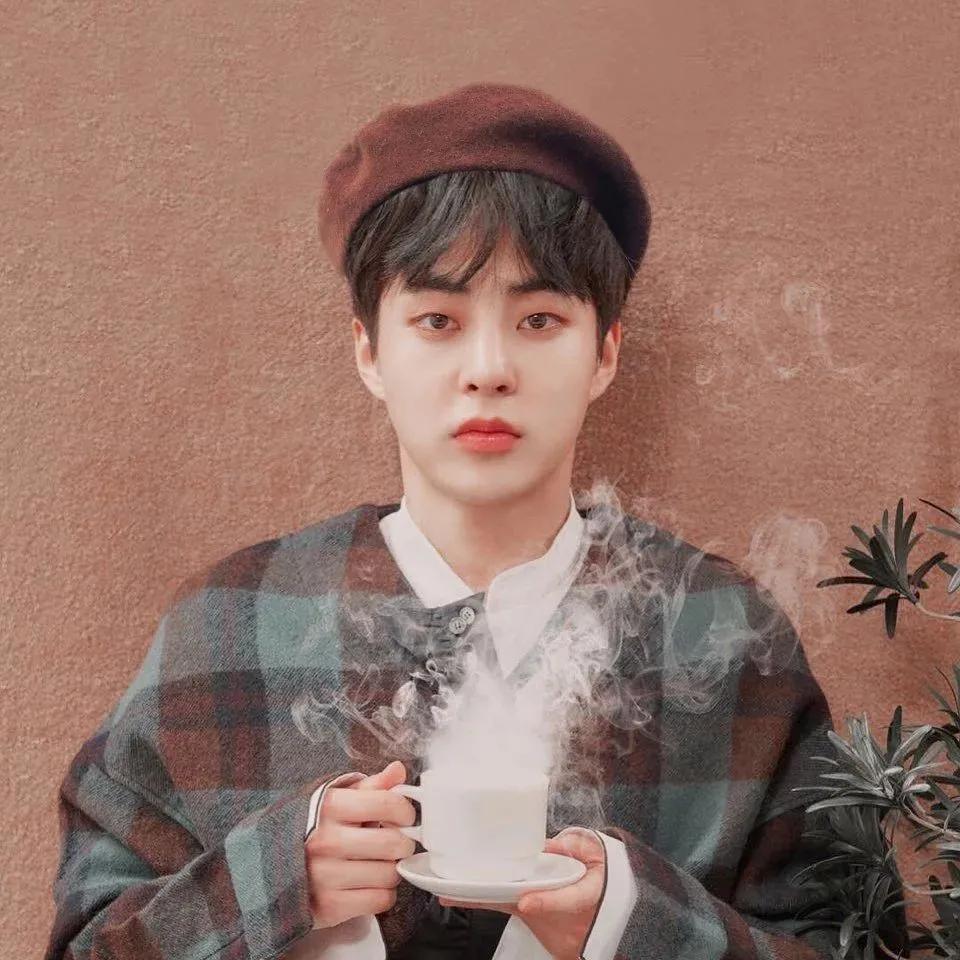 100张好看不常见的微信头像,适合中年女人高雅的微信头像